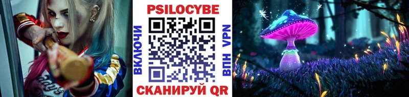 нарко площадка Telegram  hydra зеркало  Лаишево  Галлюциногенные грибы Psilocybe 
